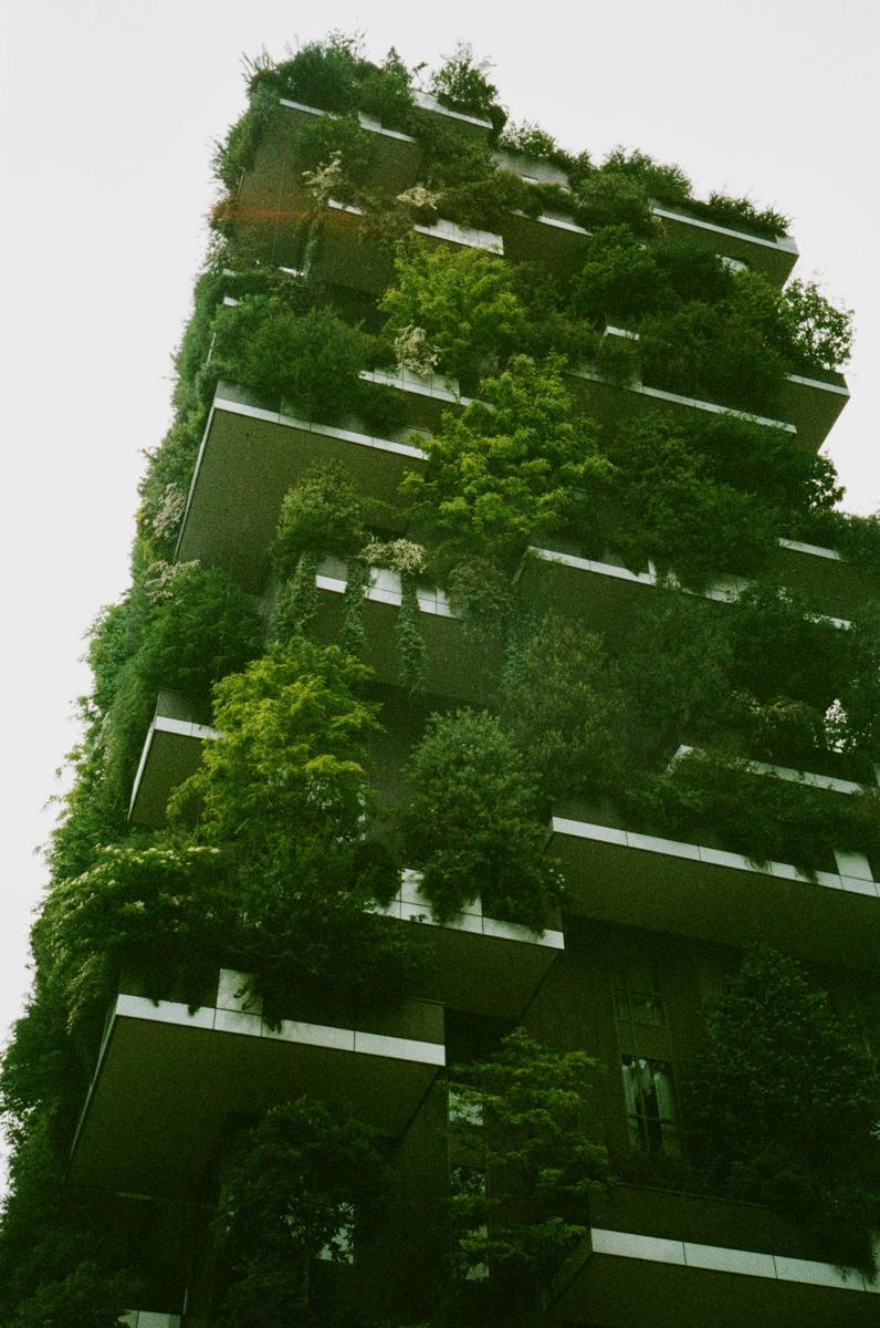 Green city