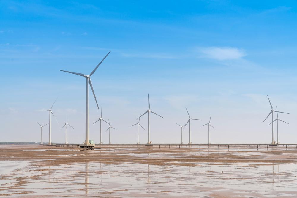 Jakie są najważniejsze inwestycje w energię odnawialną, które kształtują przyszłość sektora?